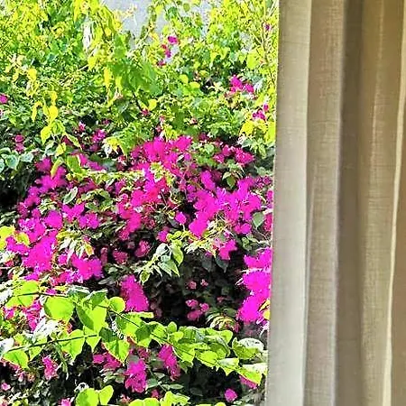Alaca Butik Otel Ciftlikkoyu